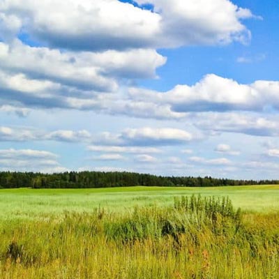 Vacant land for a real estate appraisal