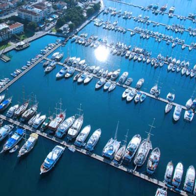 Marina at dawn